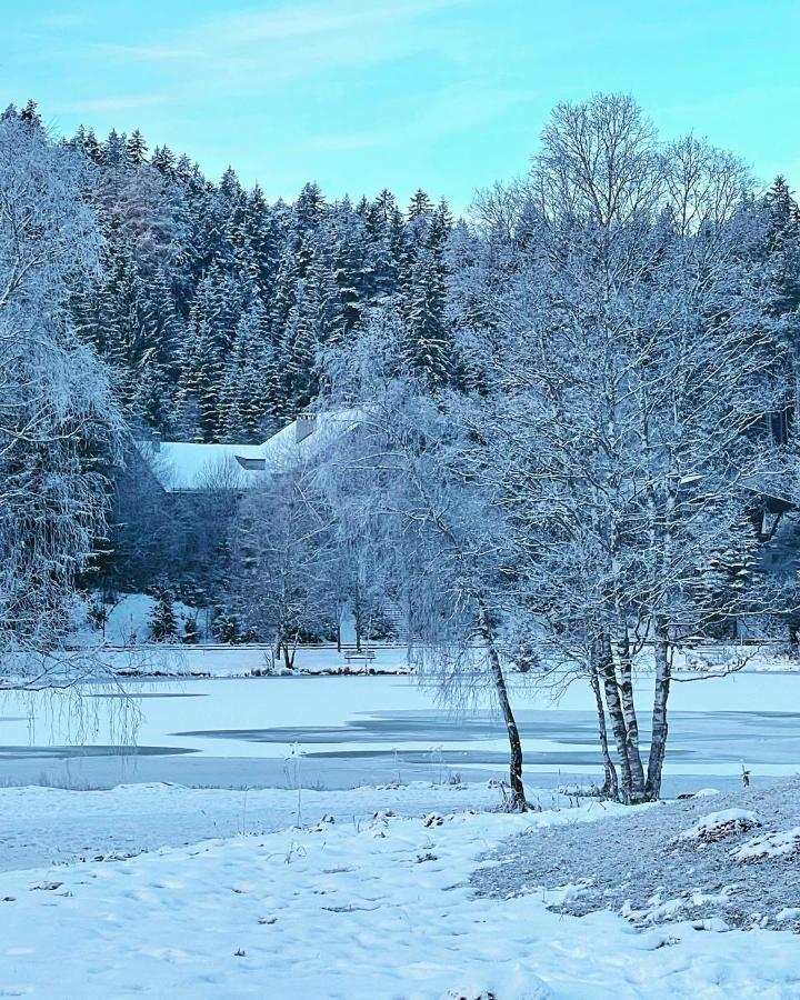 Lakeside Apartments Seefeld Seefeld in Tirol Exterior foto